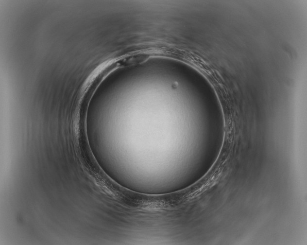 X0000115790200200911131315