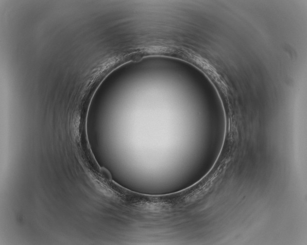 X0000115790201200911131315