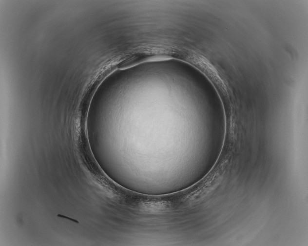 X0000115790202200911131315