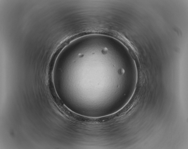 X0000115790203200911131315