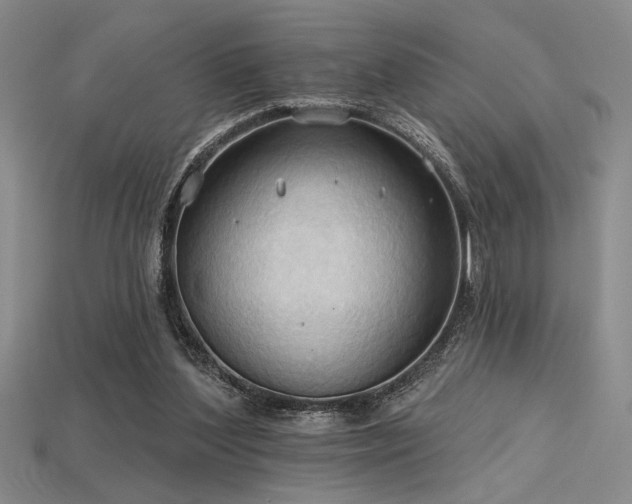 X0000115790204200911131315