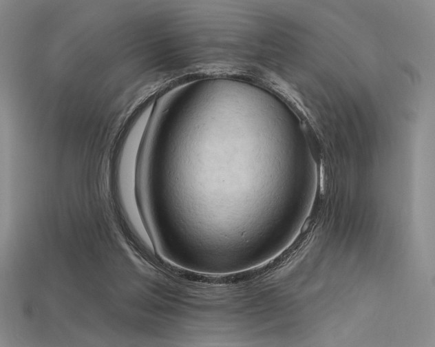 X0000115790205200911131315