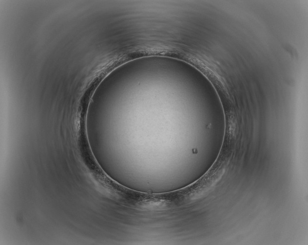 X0000115790206200911131315