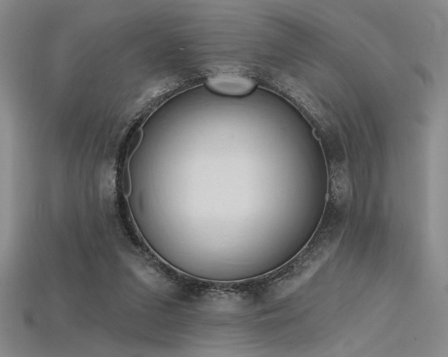 X0000115790207200911131315