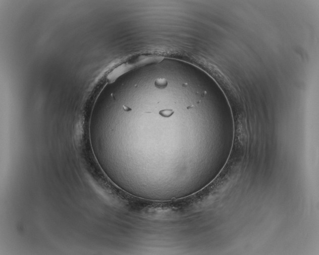 X0000115790208200911131315