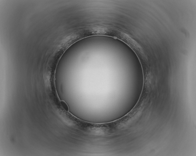 X0000115790209200911131315