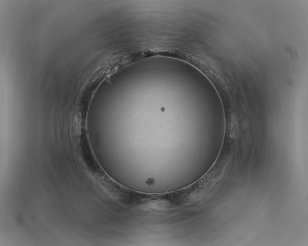 X0000115790210200911131315