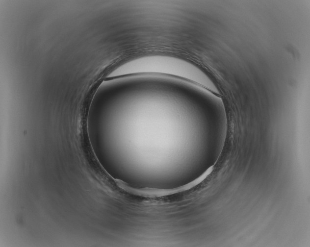 X0000115790211200911131315