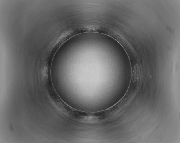 X0000115790212200911131315