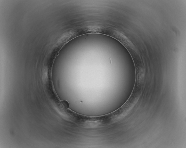 X0000115790213200911131315