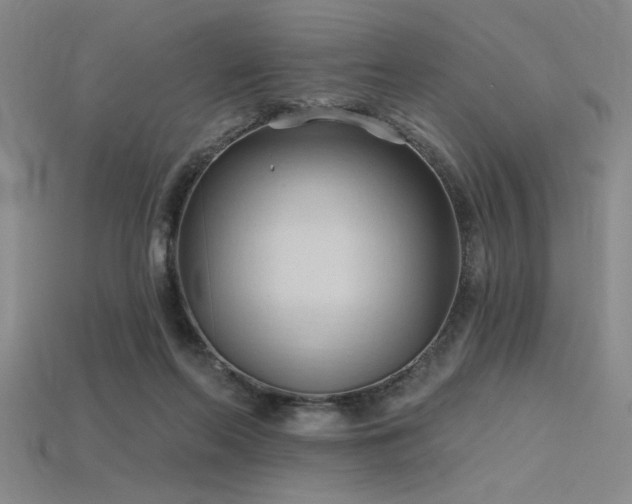 X0000115790214200911131315