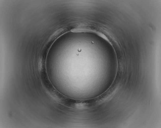 X0000115790216200911131315