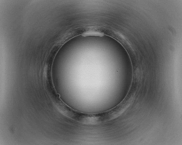 X0000115790217200911131315