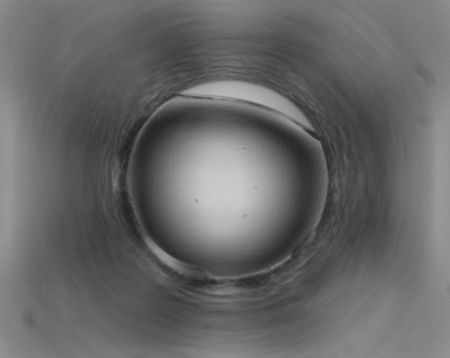 X0000115790219200911131315