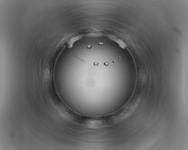 X0000115790220200911131315