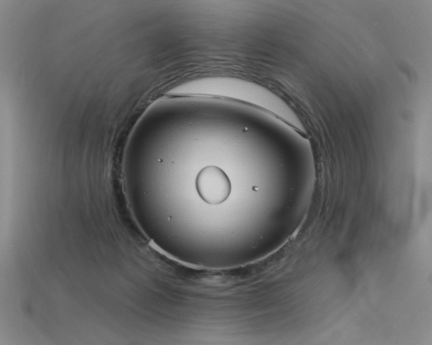 X0000115790221200911131315