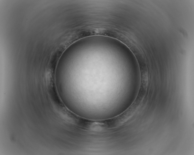 X0000115790222200911131315