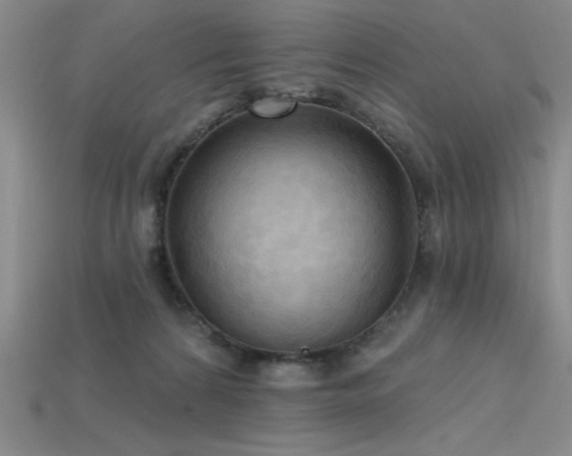 X0000115790224200911131315