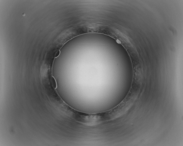 X0000115790225200911131315