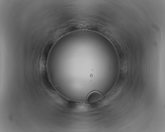 X0000115790226200911131315