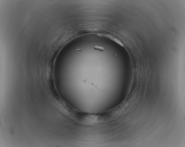 X0000115790227200911131315