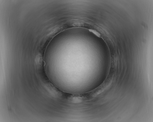 X0000115790228200911131315