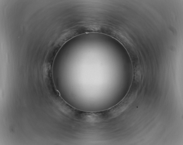 X0000115790229200911131315