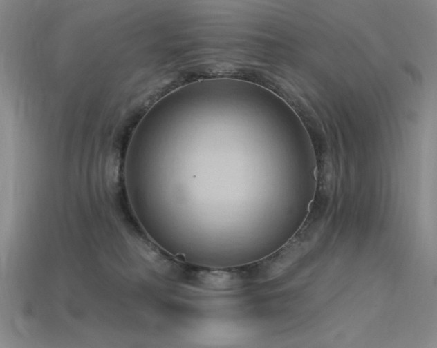 X0000115790230200911131315