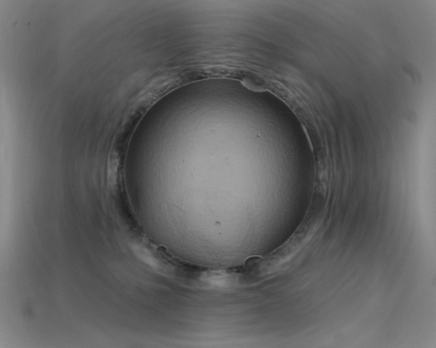 X0000115790231200911131315