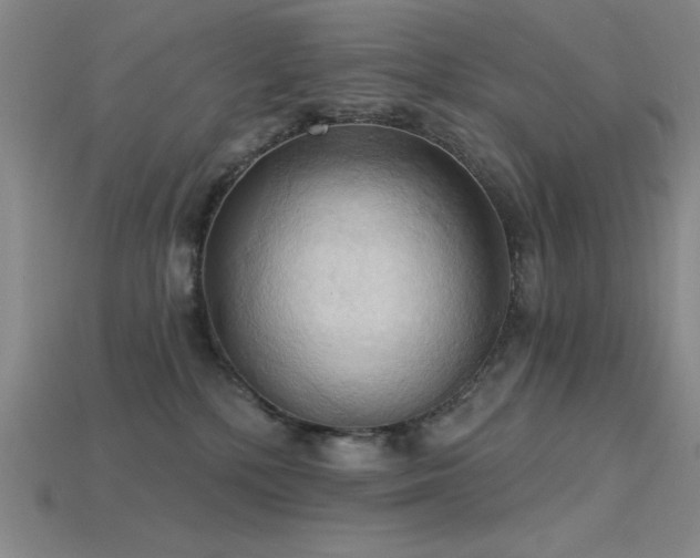 X0000115790232200911131315