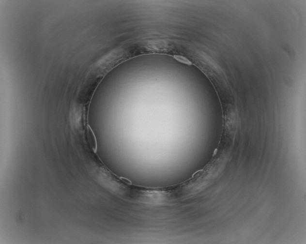 X0000115790233200911131315