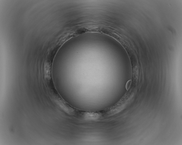 X0000115790234200911131315