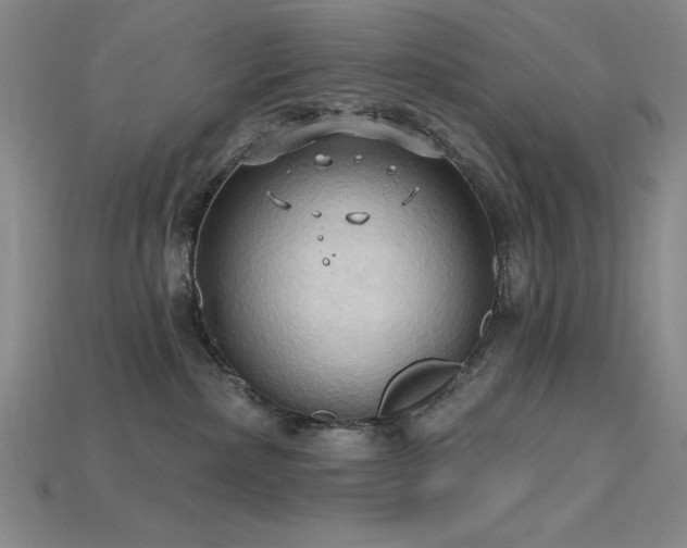 X0000115790236200911131314