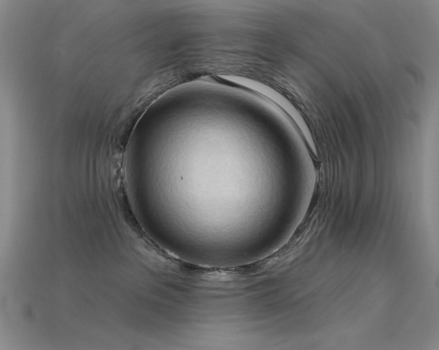 X0000115790237200911131314