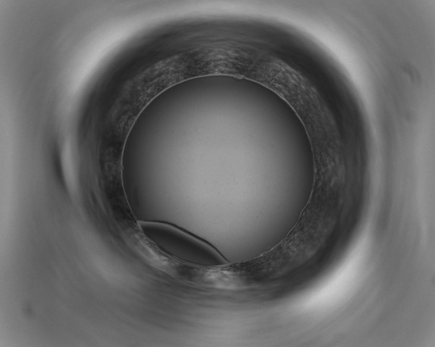 X0000115790239200911131314