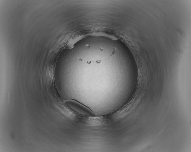 X0000115790240200911131314