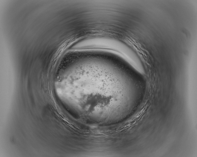 X0000115790241200911131314