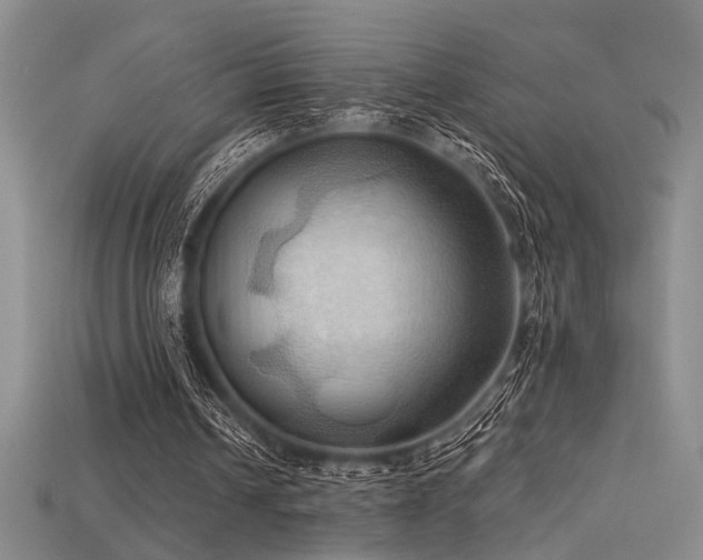 X0000115790242200911131314