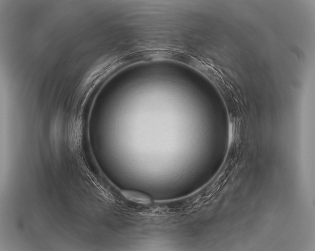 X0000115790243200911131314