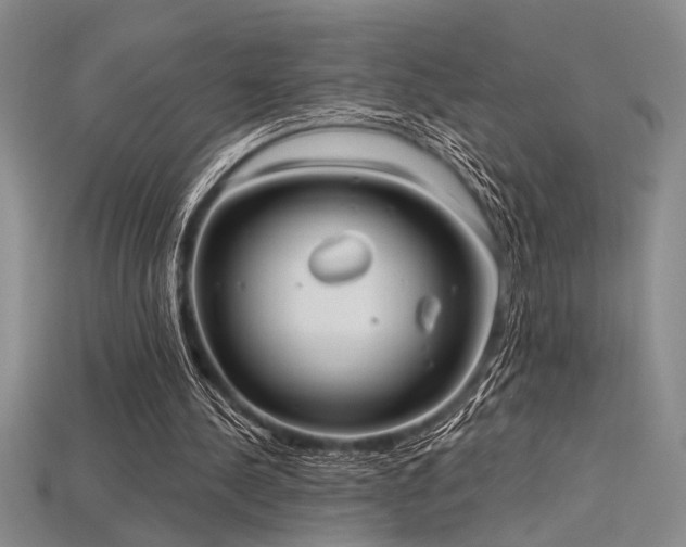 X0000115790244200911131314