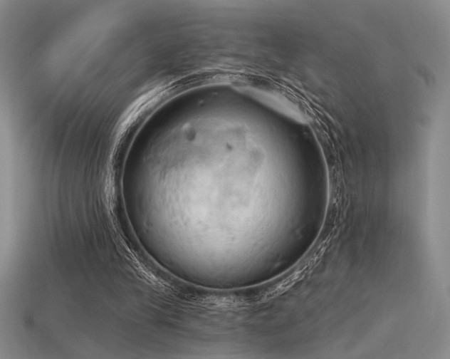 X0000115790245200911131314