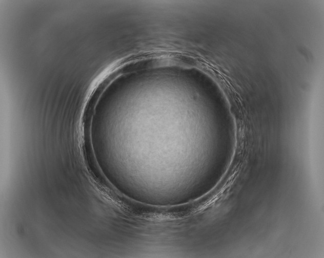 X0000115790246200911131314