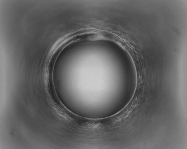 X0000115790247200911131314