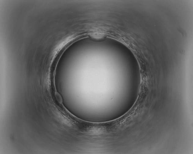 X0000115790248200911131314