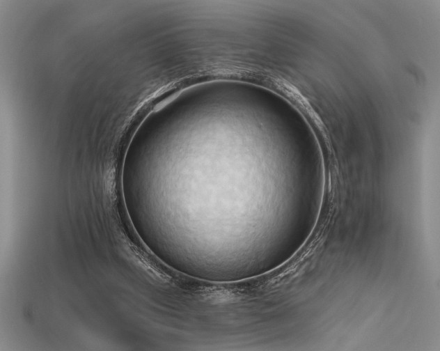 X0000115790249200911131314