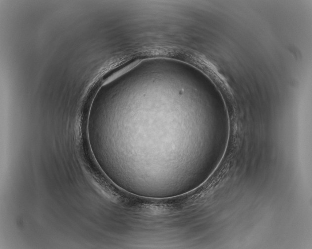 X0000115790250200911131314