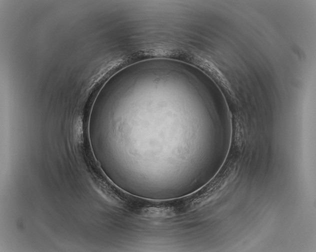 X0000115790251200911131314