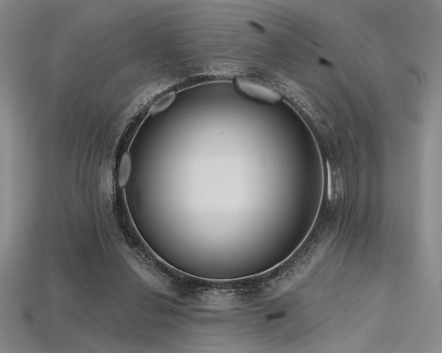 X0000115790252200911131314