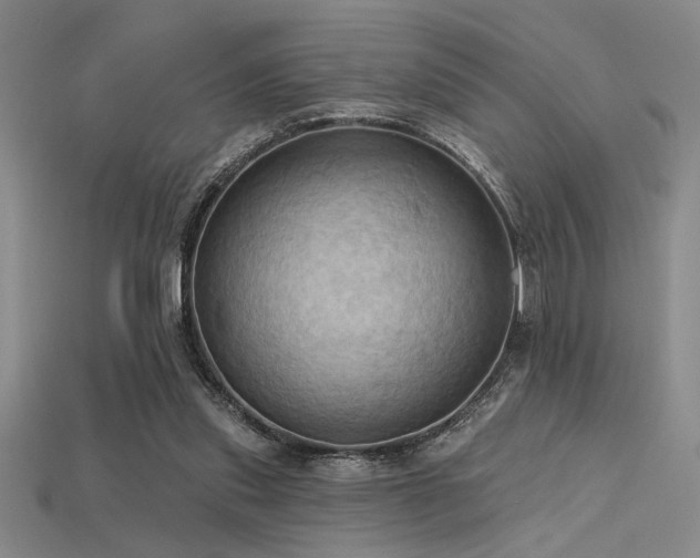 X0000115790253200911131314