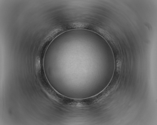 X0000115790254200911131314